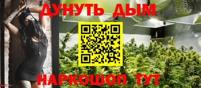 стафф Нальчик